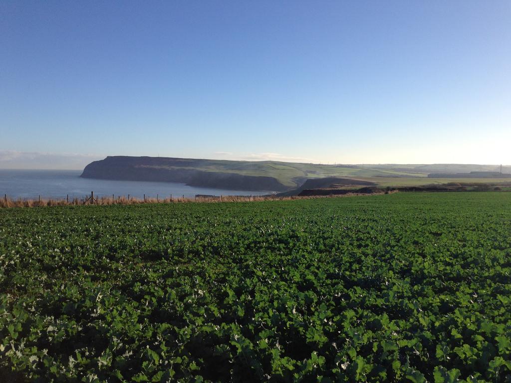 Moonfleet Boutique 3* Skinningrove